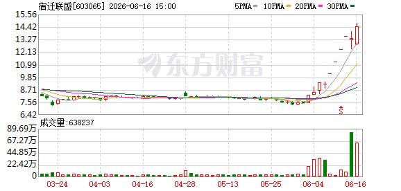 信息披露不准确、不完整 风险提示不充分 宿迁联盛跨界“追光”遭警示